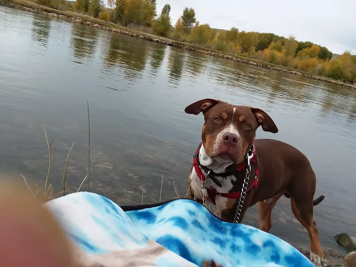 Tailrace Campground 0