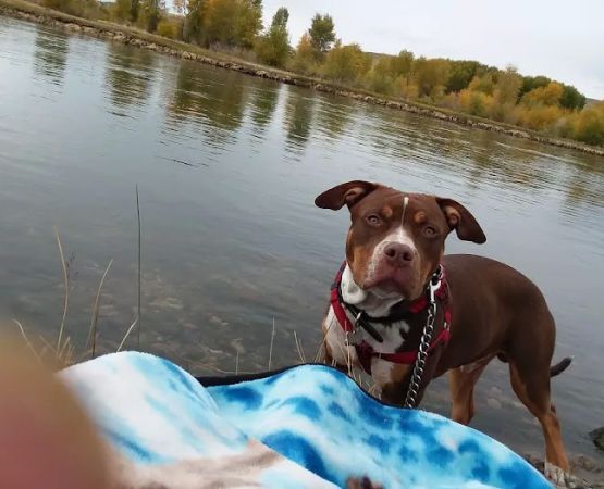 Tailrace Campground