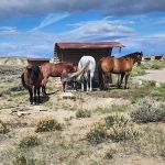 Fontenelle Creek Campground