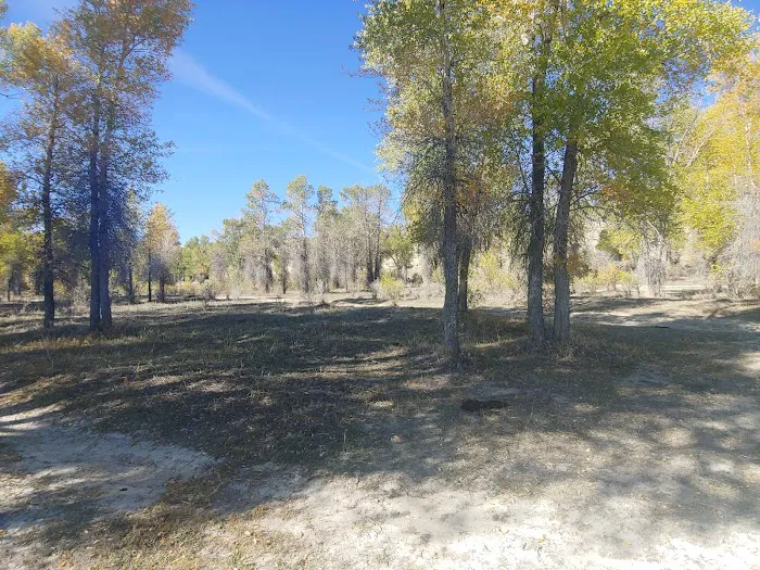 Names Hill Campground 4