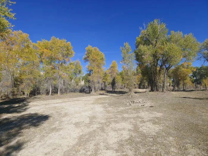 Names Hill Campground 5