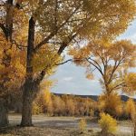 Names Hill Campground