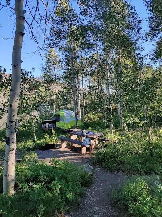 The Narrows Campground 3