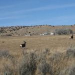 Rock Springs / Green River KOA Journey