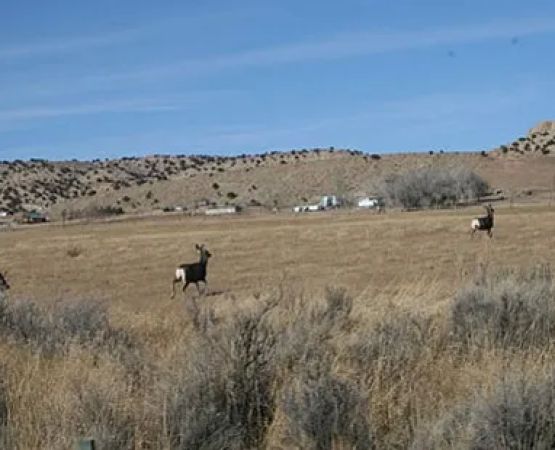 Rock Springs / Green River KOA Journey