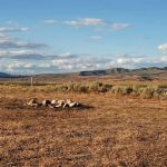 Lake Viva Naughton Campsite