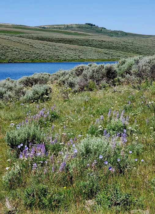 Lake Viva Naughton Campsite 6