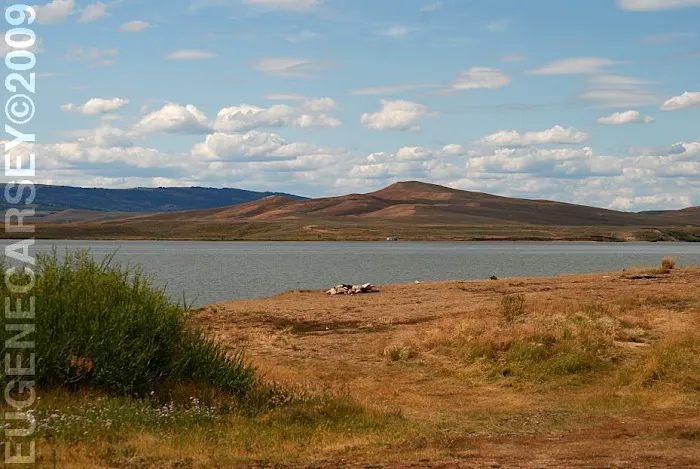 Viva Naughton Marina Campground 0