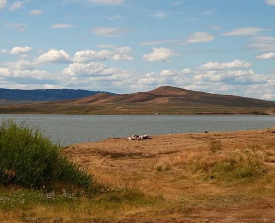 Viva Naughton Marina Campground