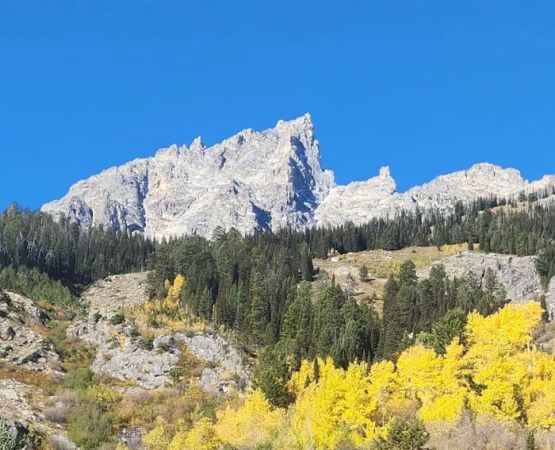 Flagg Ranch Campground Office & Laundry Facility