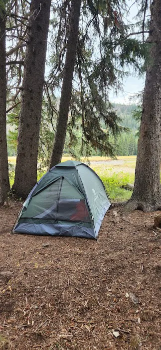 Snake River 8C1 9