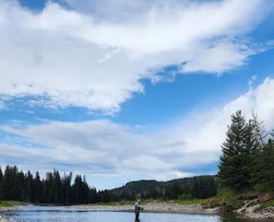 Snake River 8C1