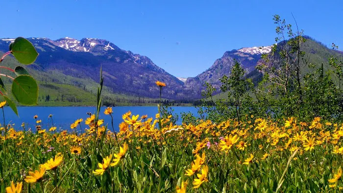 Lizard Creek Campground 0