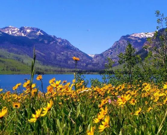 Lizard Creek Campground