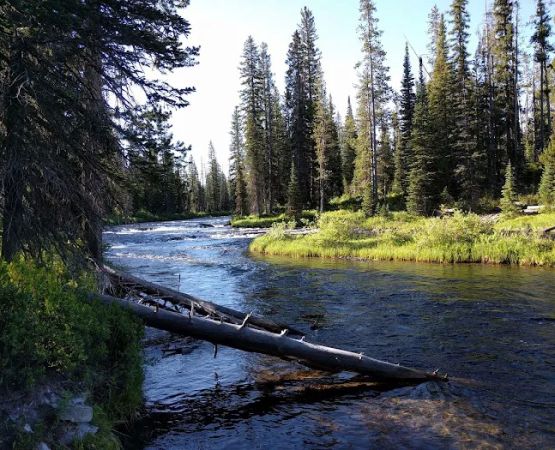 Upper Falls River 9F2