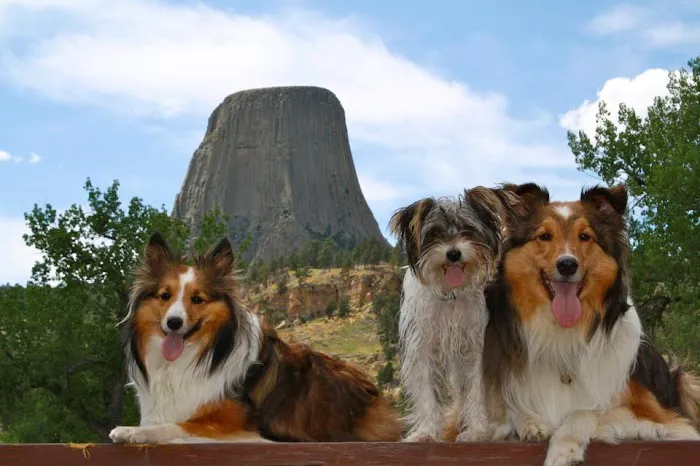 Devils Tower / Black Hills KOA Journey 3