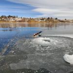 South Causeway Campground