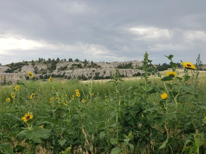 Larson Park Campground 5
