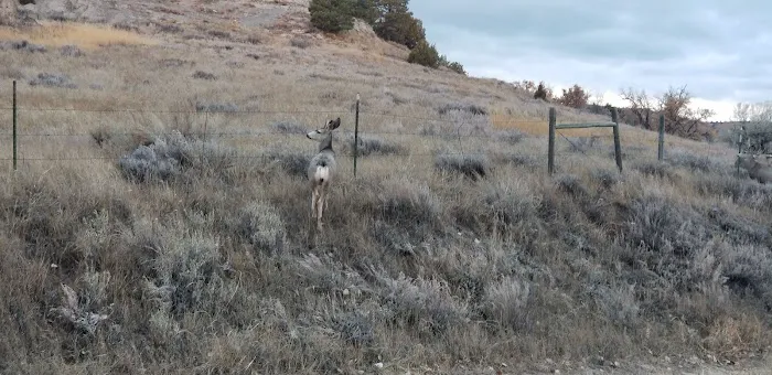 Larson Park Campground 3