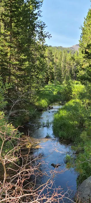 Friend Park Campground 7