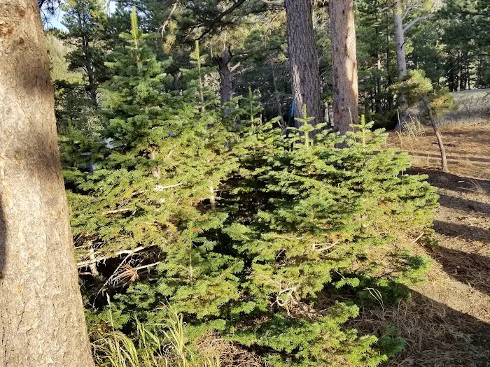 Friend Park Campground 3