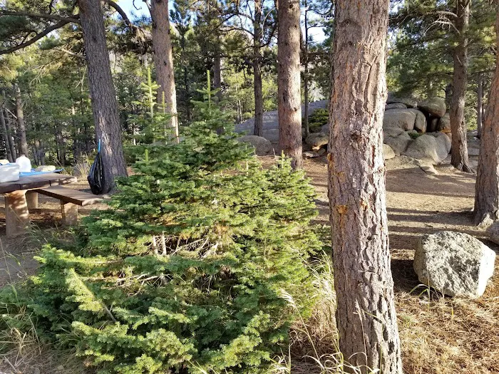 Friend Park Campground 4