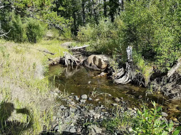 Friend Park Campground 9
