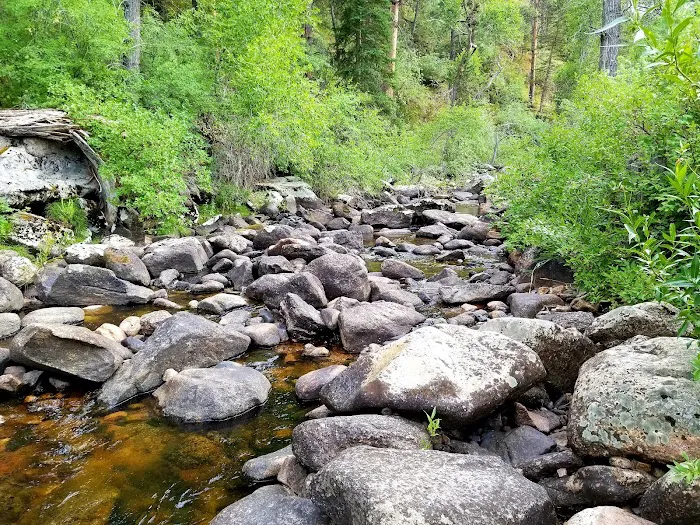 Curtis Gulch Campground 5