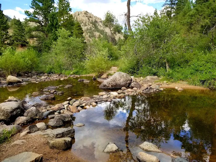 Curtis Gulch Campground 6