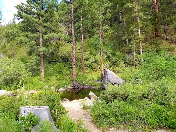 Curtis Gulch Campground 9