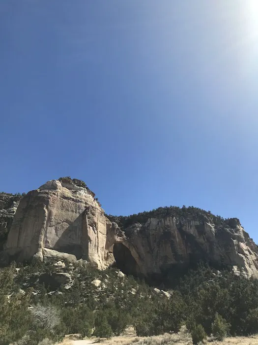 Curtis Gulch Campground 8