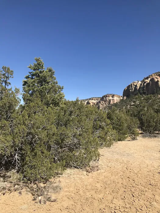 Curtis Gulch Campground 4
