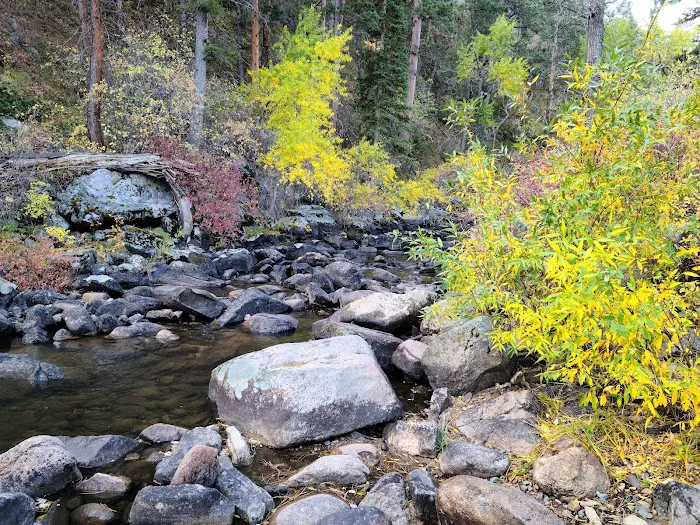 Curtis Gulch Campground 7