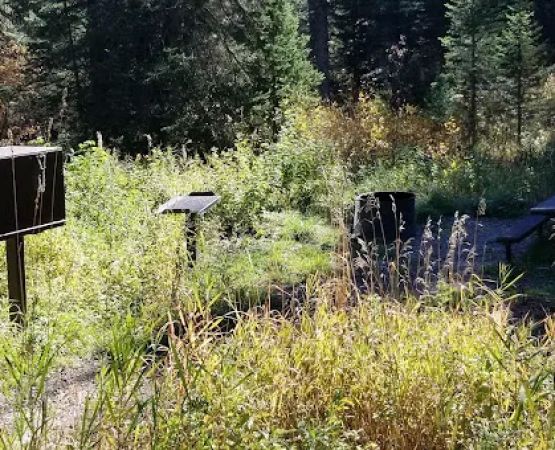 Pine Creek Campground