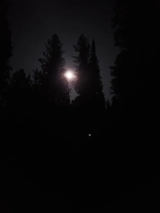 Pine Creek Campground 3