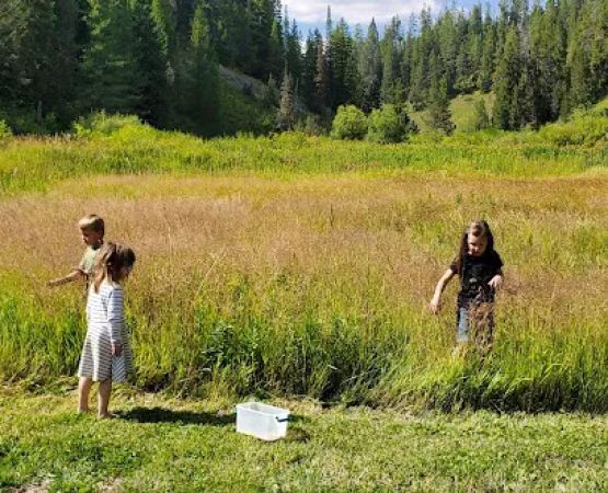 West Piney Recreation Camp