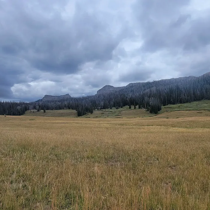 Brooks Lake Campground 6