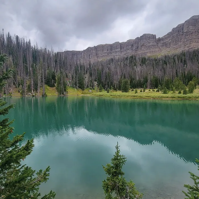 Brooks Lake Campground 8