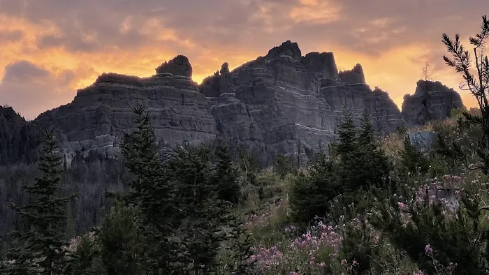 Pinnacles Campground 5