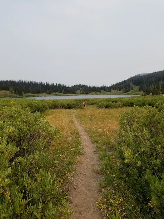 Pinnacles Campground 8