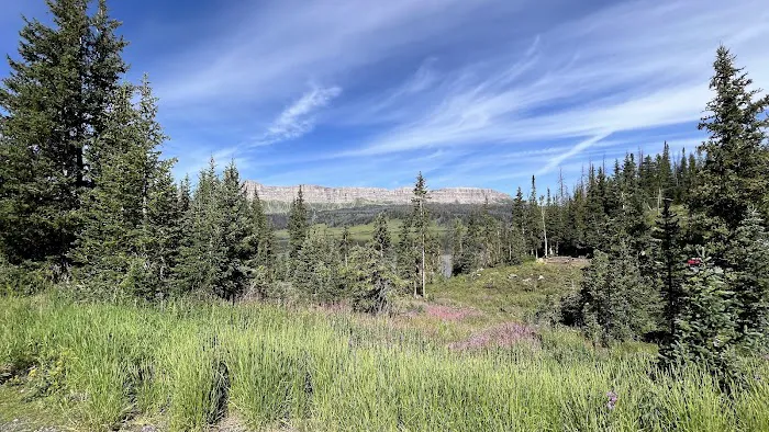 Pinnacles Campground 1