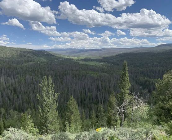 Falls Campground