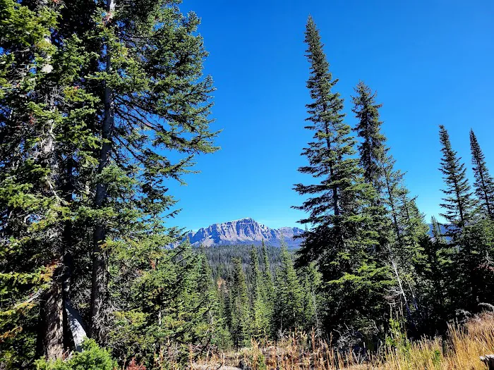 Falls Campground 9