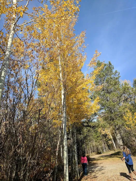 Blowout Campground 5