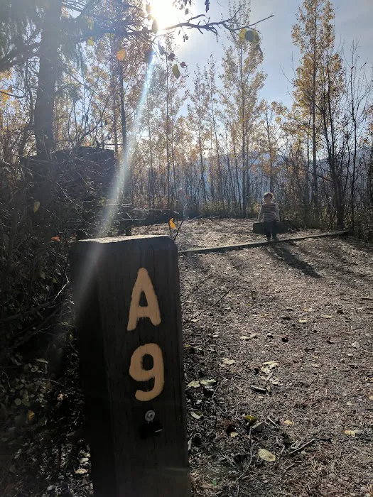 Blowout Campground 2