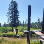 Lower Boundary Creek 9B1