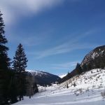 Potosi Campground and Picnic Area