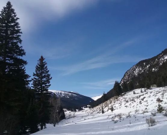 Potosi Campground and Picnic Area