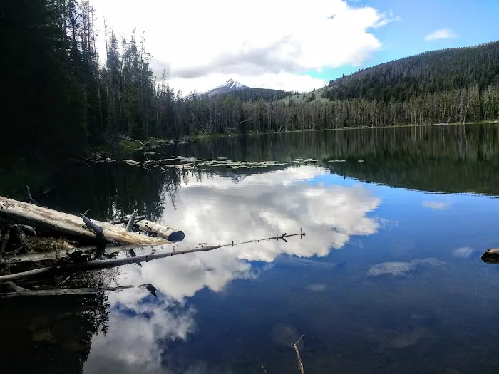 Potosi Campground and Picnic Area 6