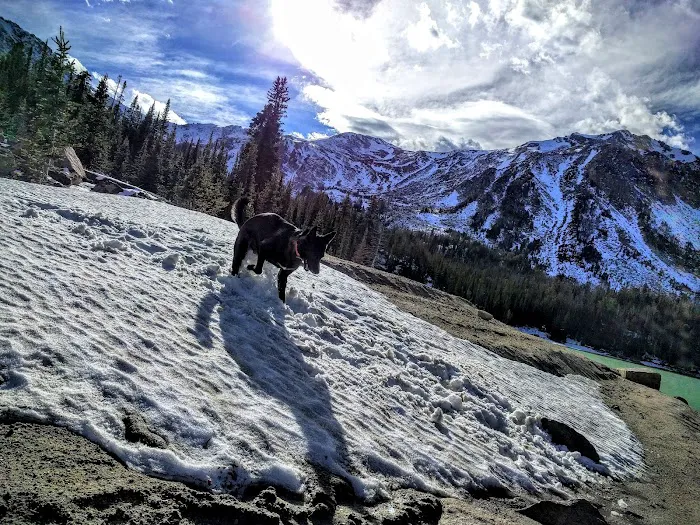 Potosi Campground and Picnic Area 9